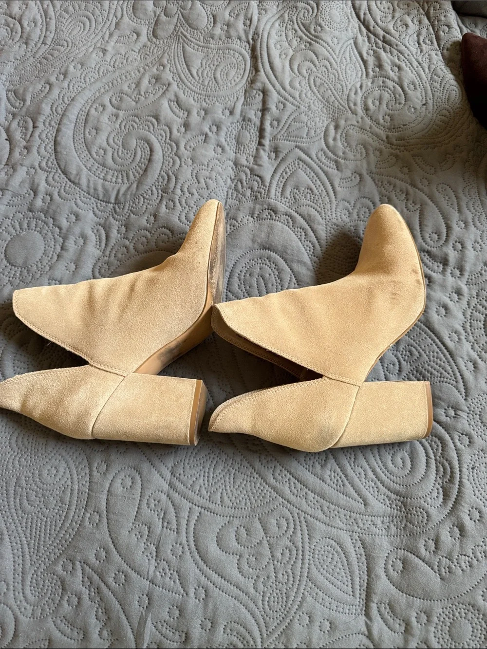 Steve Madden suede ankle